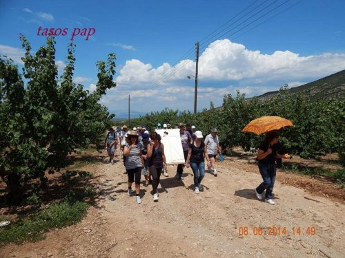 Agia Triada 140608 102