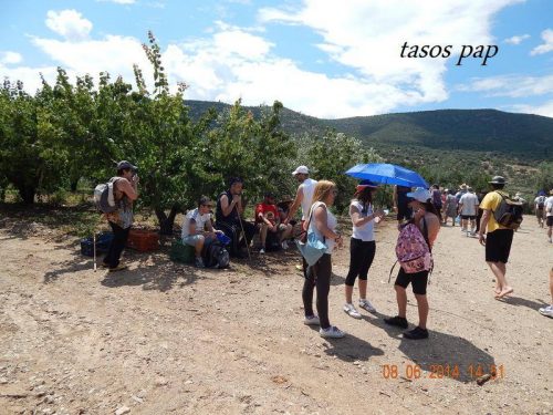 Agia Triada 140608 103