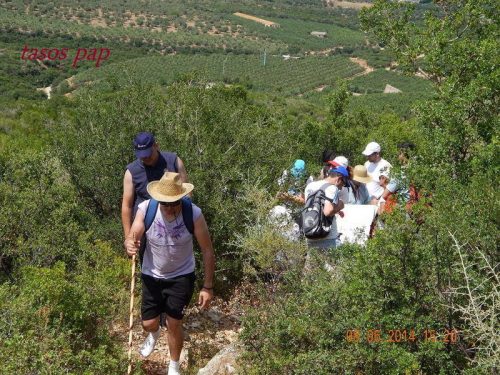 Agia Triada 140608 104