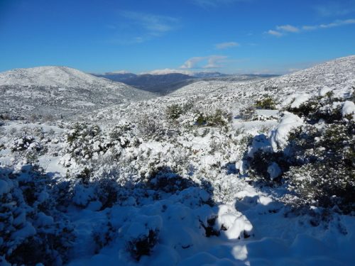 Or.Meligou.07 01 2015 01 resize