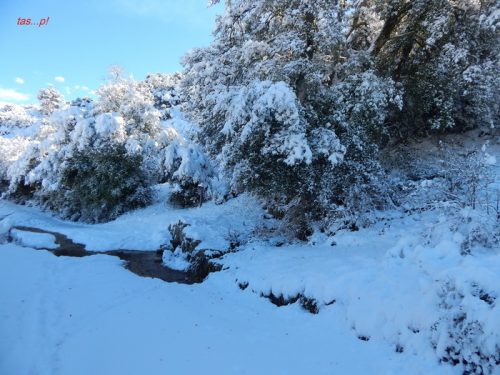 Or.Meligou.07 01 2015 02 resize