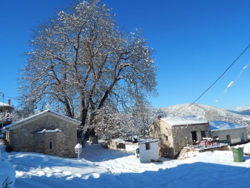 Or.Meligou.07 01 2015 09 resize
