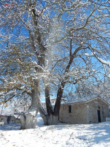Or.Meligou.07 01 2015 09a resize
