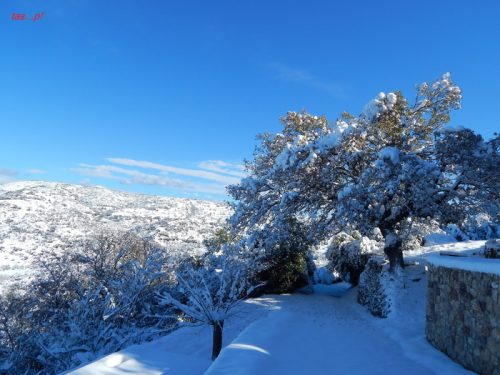Or.Meligou.07 01 2015 11 resize