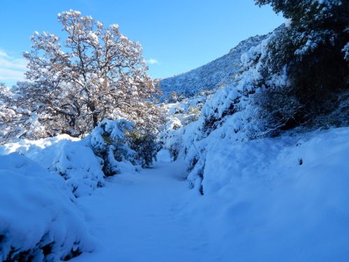 Or.Meligou.07 01 2015 12 resize