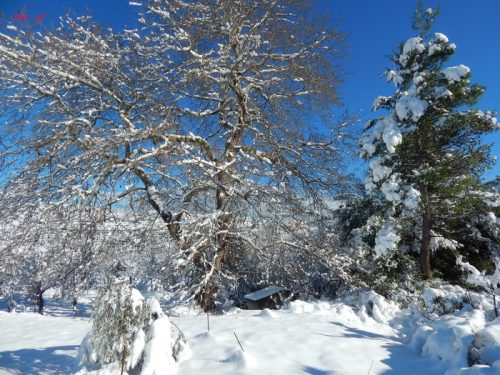 Or.Meligou.07 01 2015 13 resize