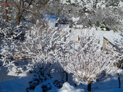 Or.Meligou.07 01 2015 14 resize