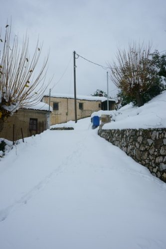 Ori.Meligou.Proto2015 012 resize
