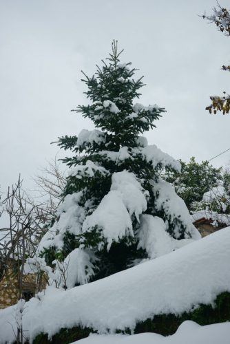 Ori.Meligou.Proto2015 015 resize