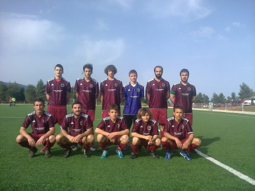 ermis110